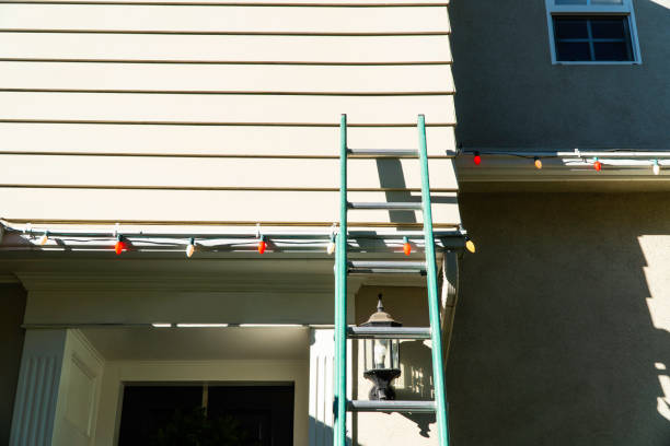 Best Brick Veneer Siding  in Old Town, ME